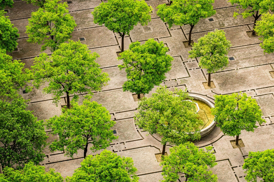 Future%20prospects%20of%20algae%20cultivation%20for%20a%20greener%20and%20%20more%20sustainable%20society_2020-01-02_3847
