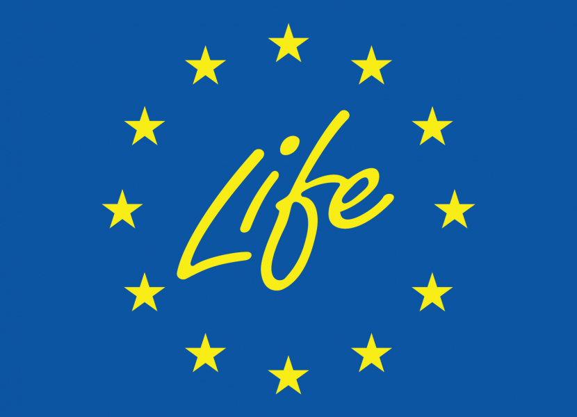 life_1
