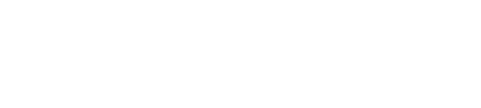 public_affairs_council_website_header